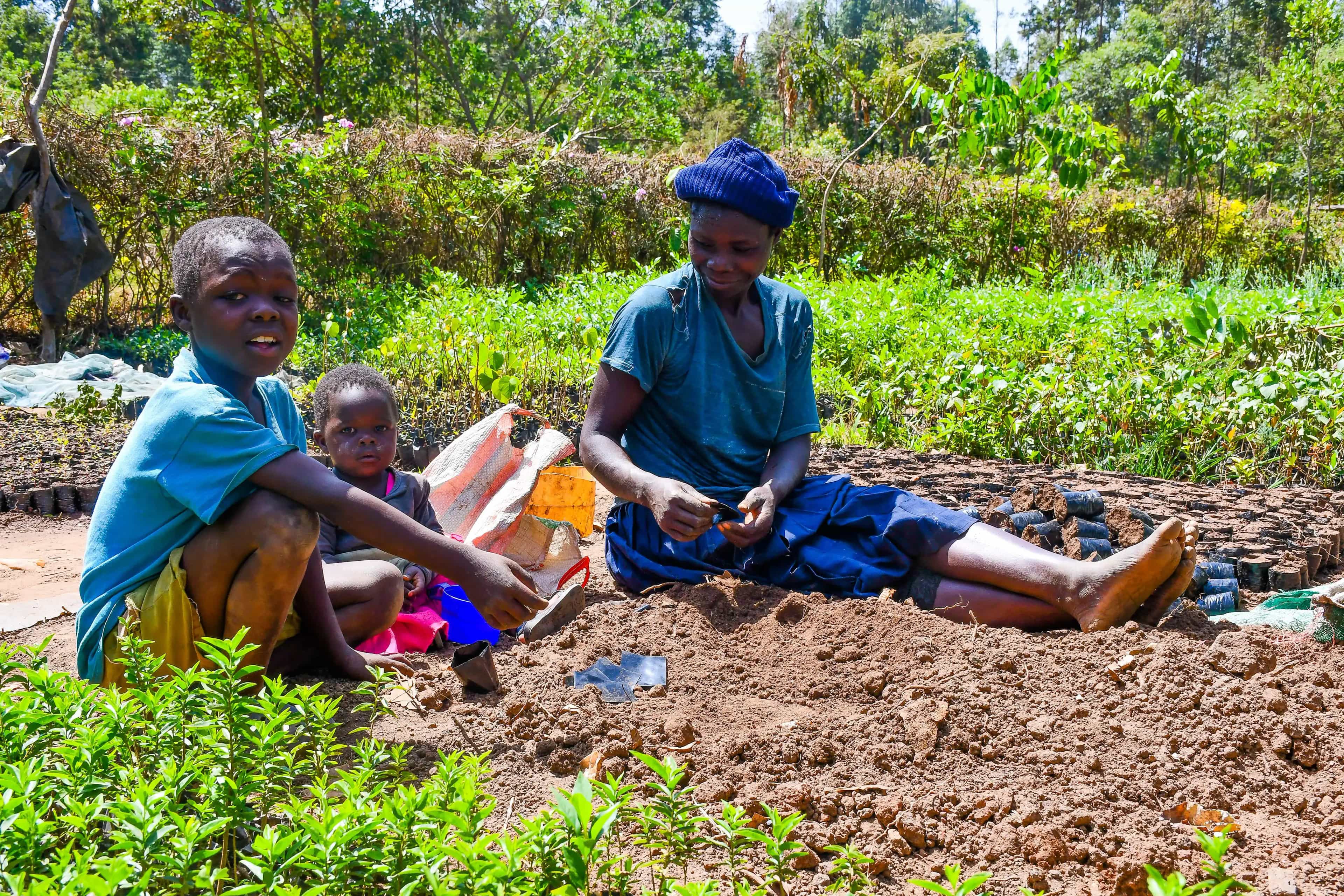 Family planting