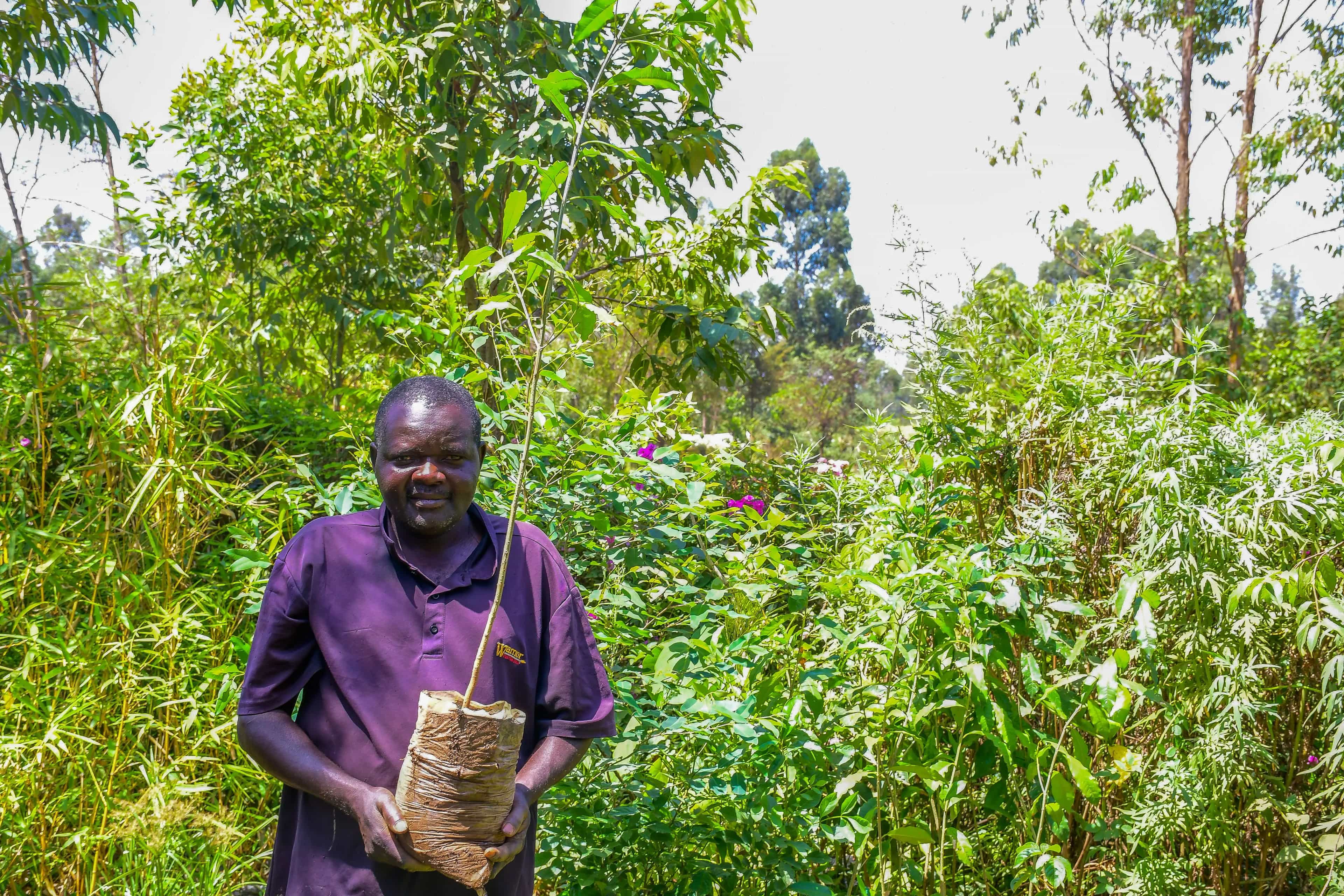 Man holding a plant