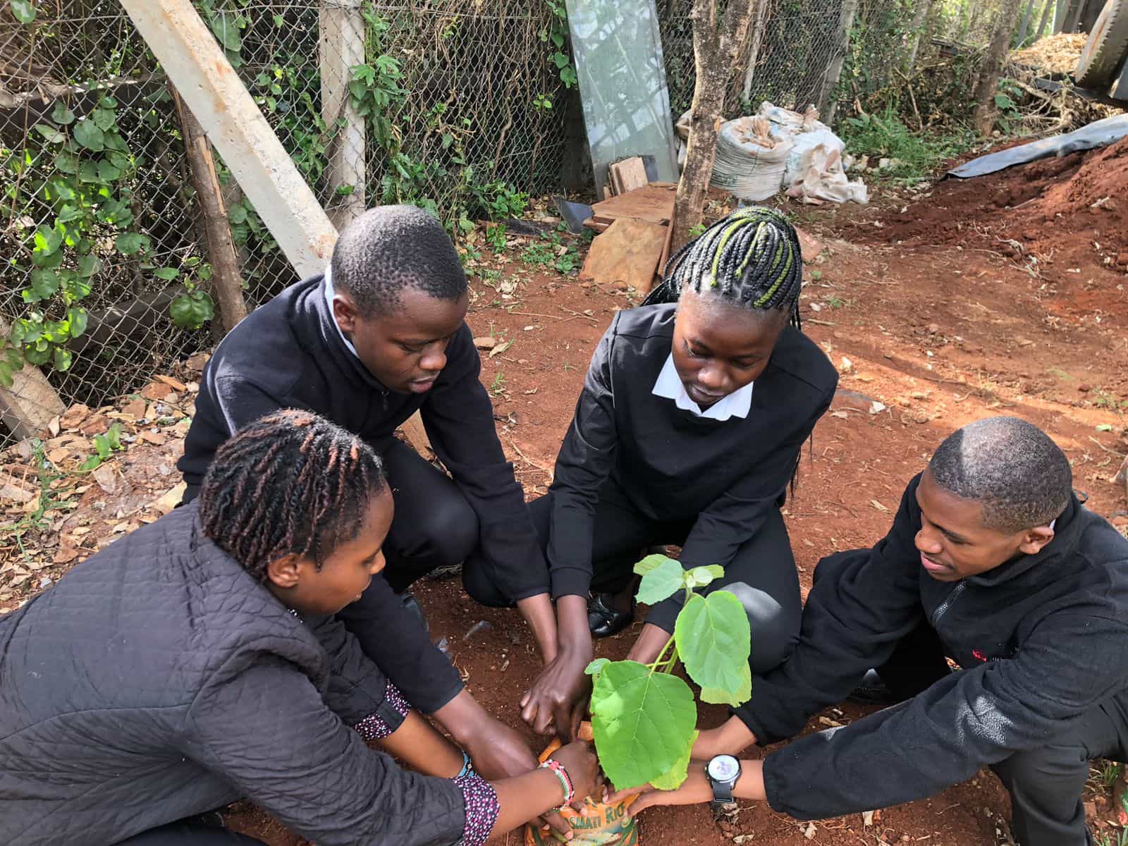 Kids taking care of a plant